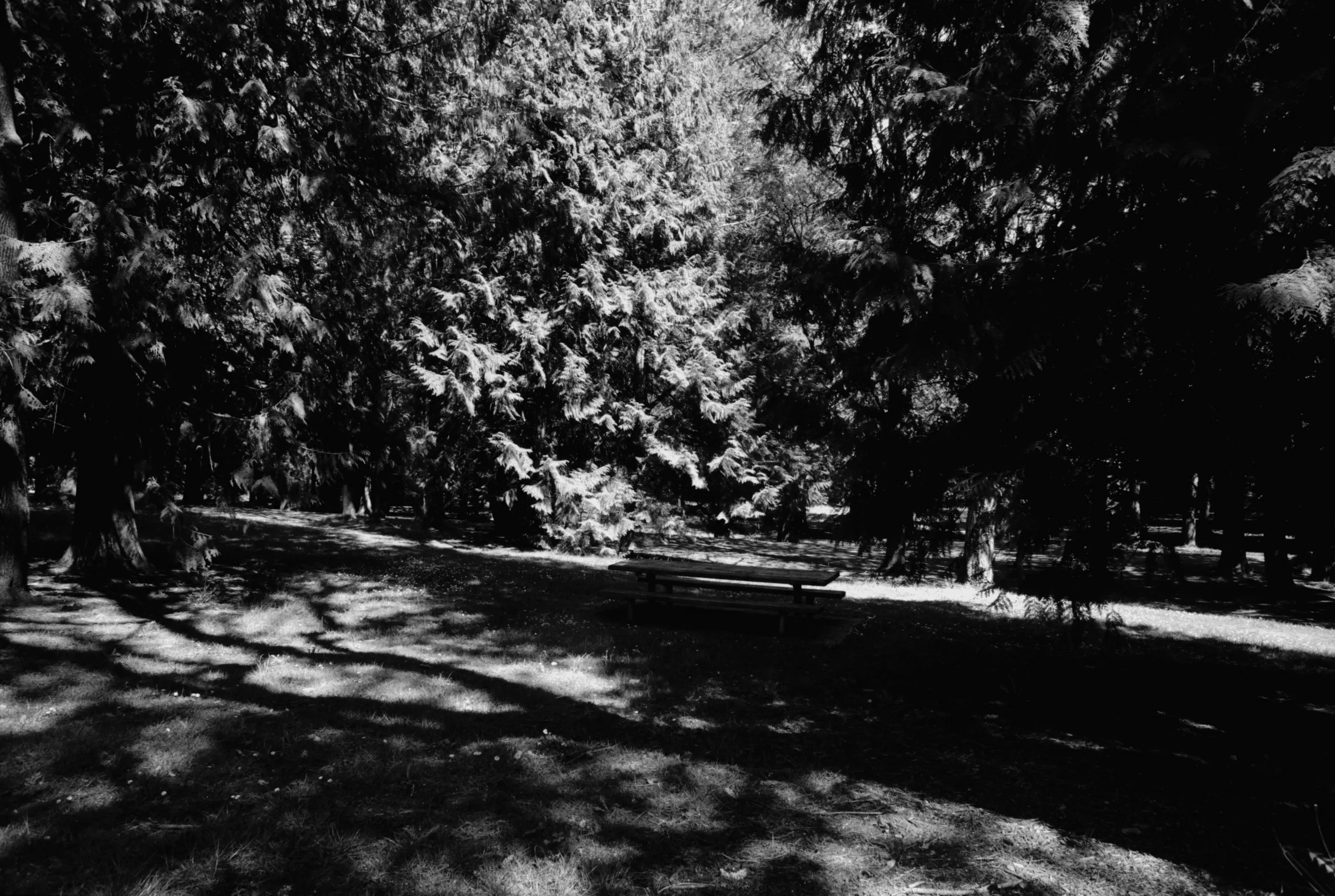 picnic bench