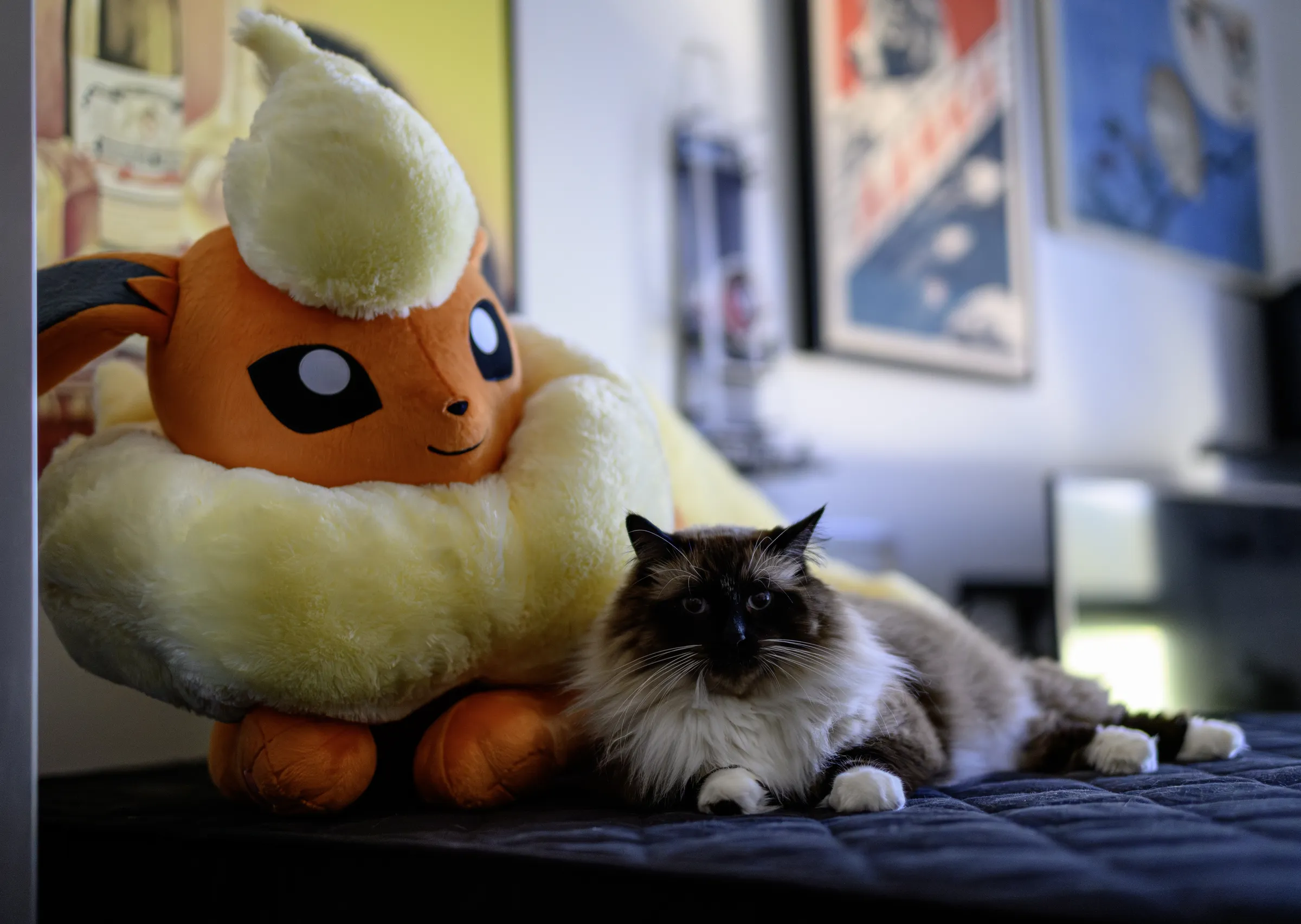 flareon