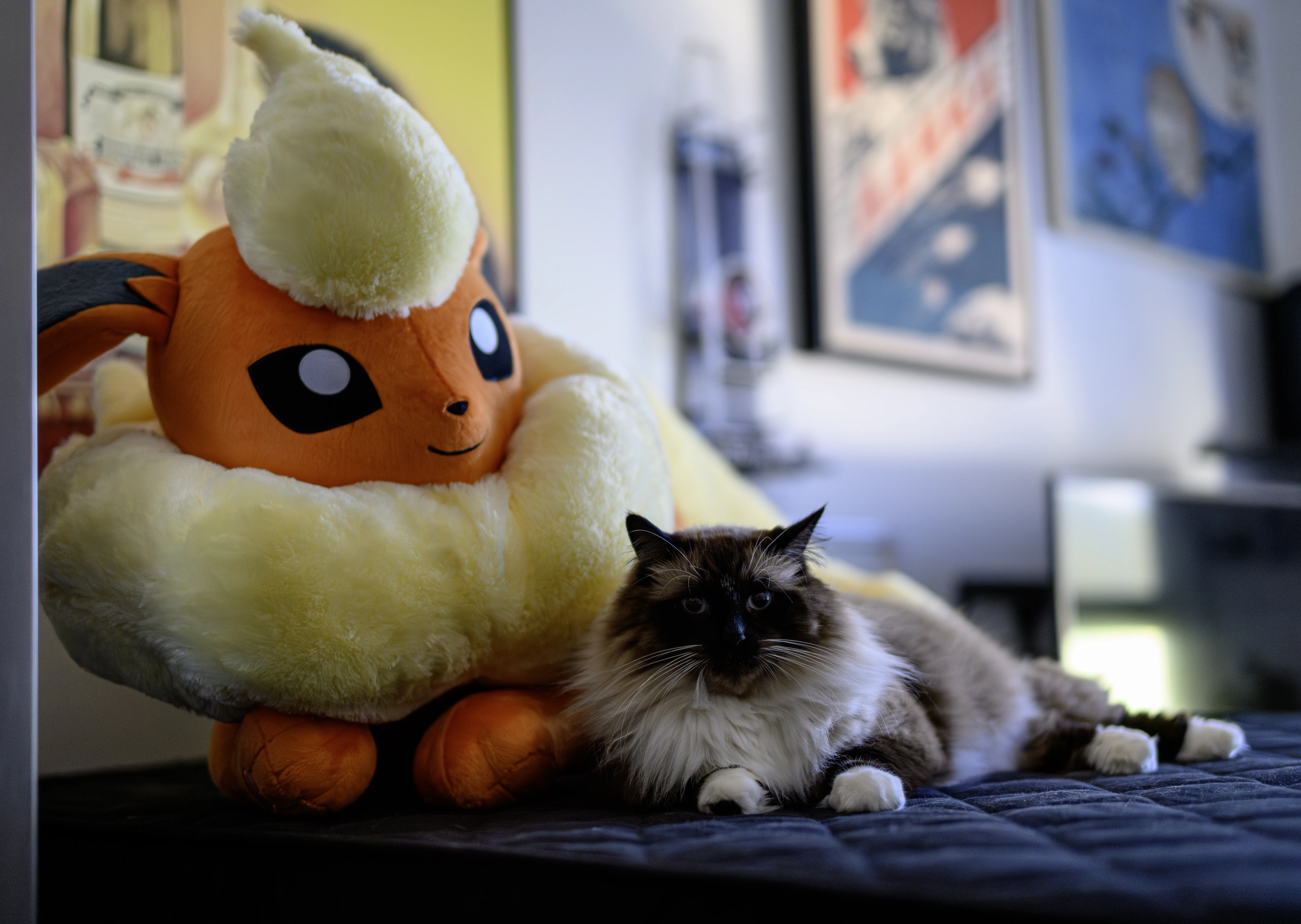 flareon