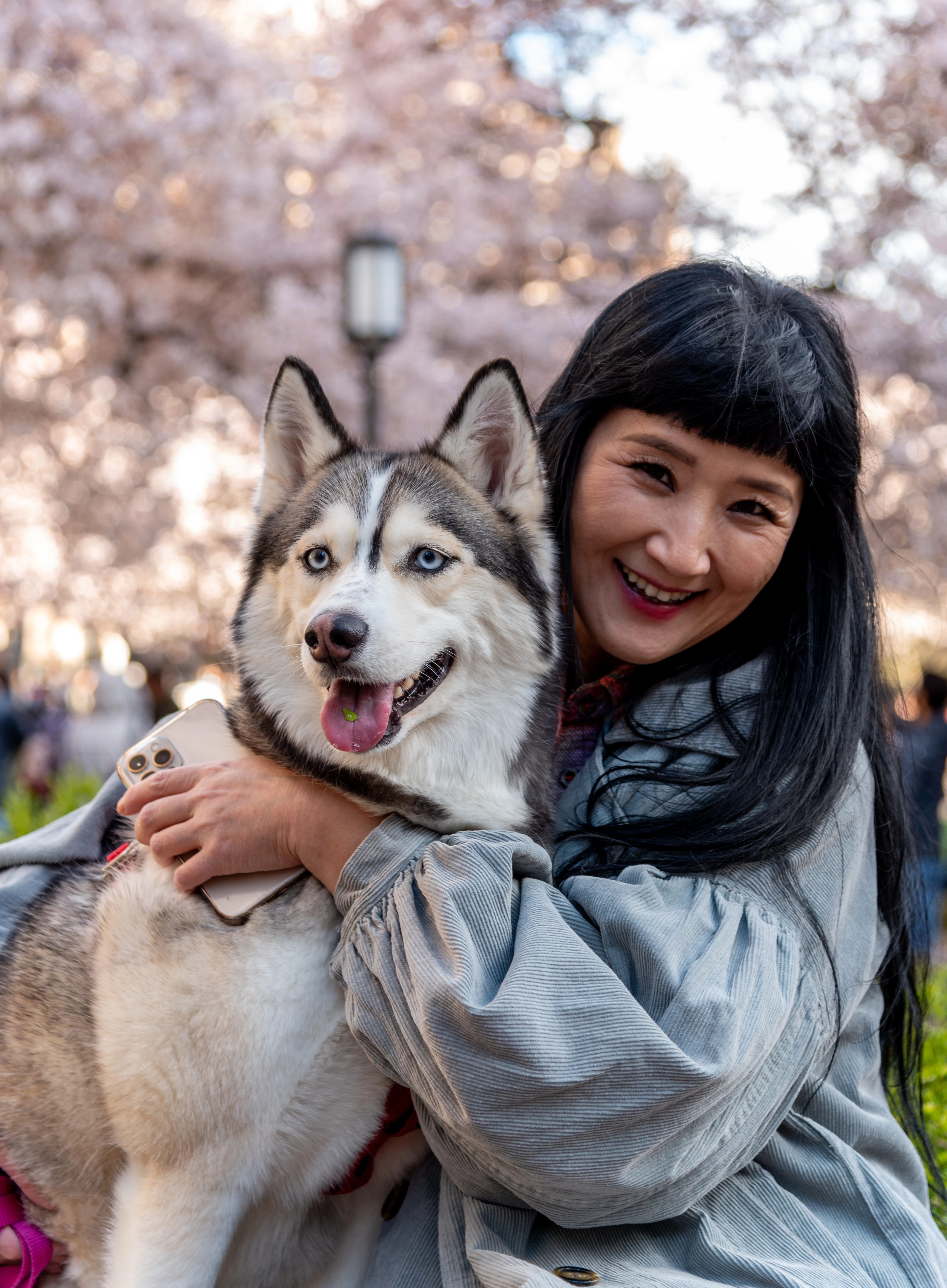 haning & laika