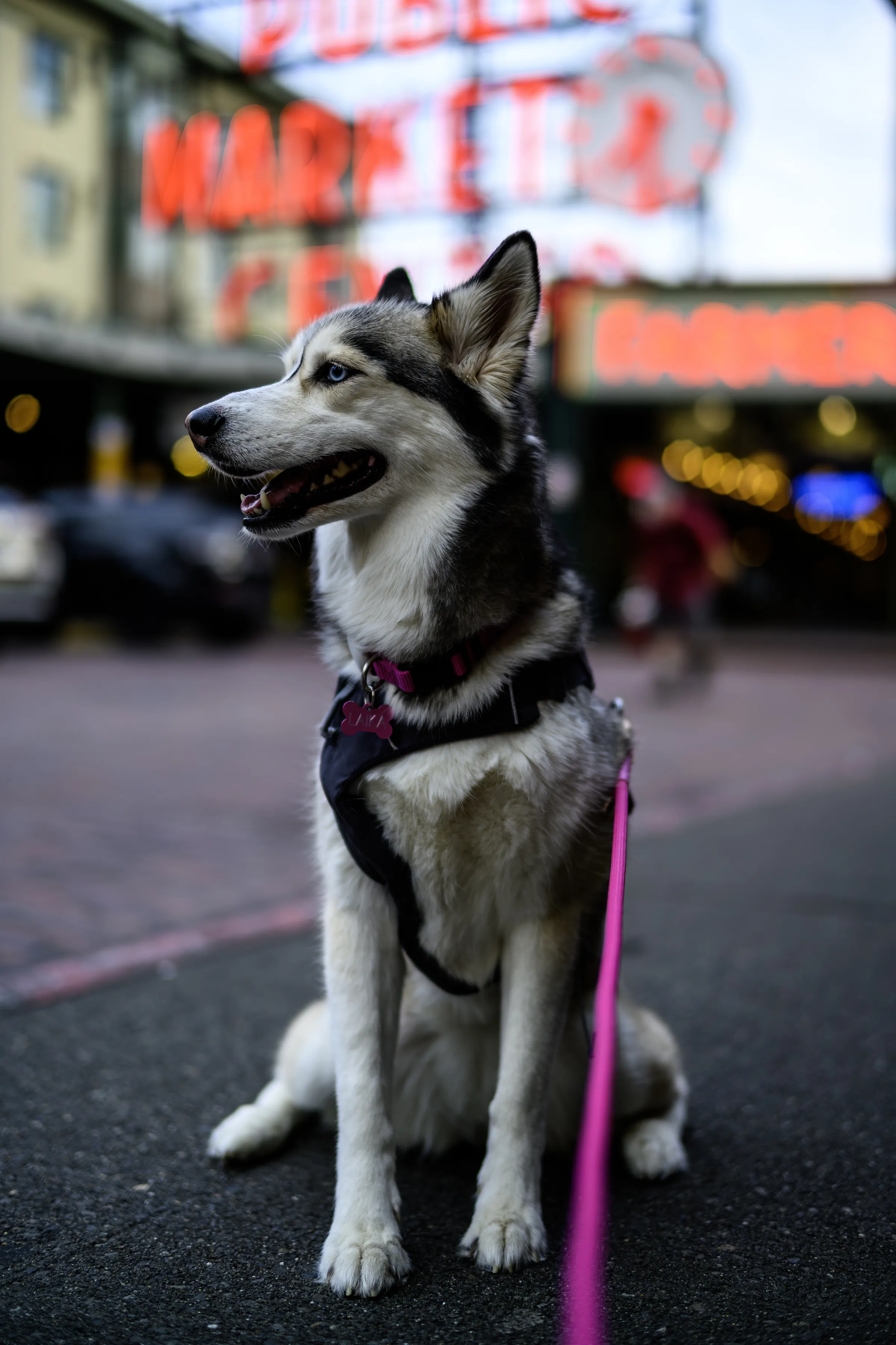 pike place market